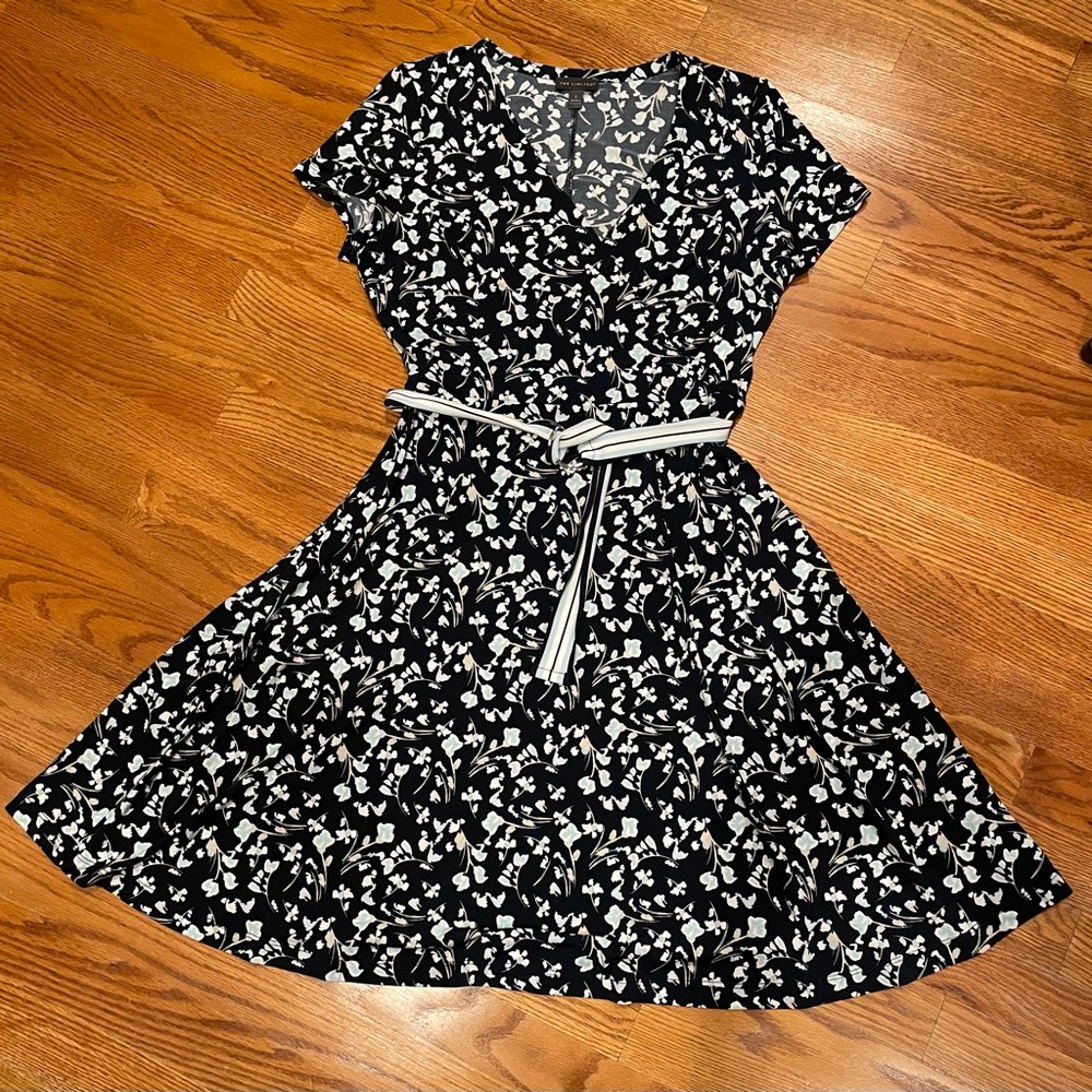 The Limited Short Dress